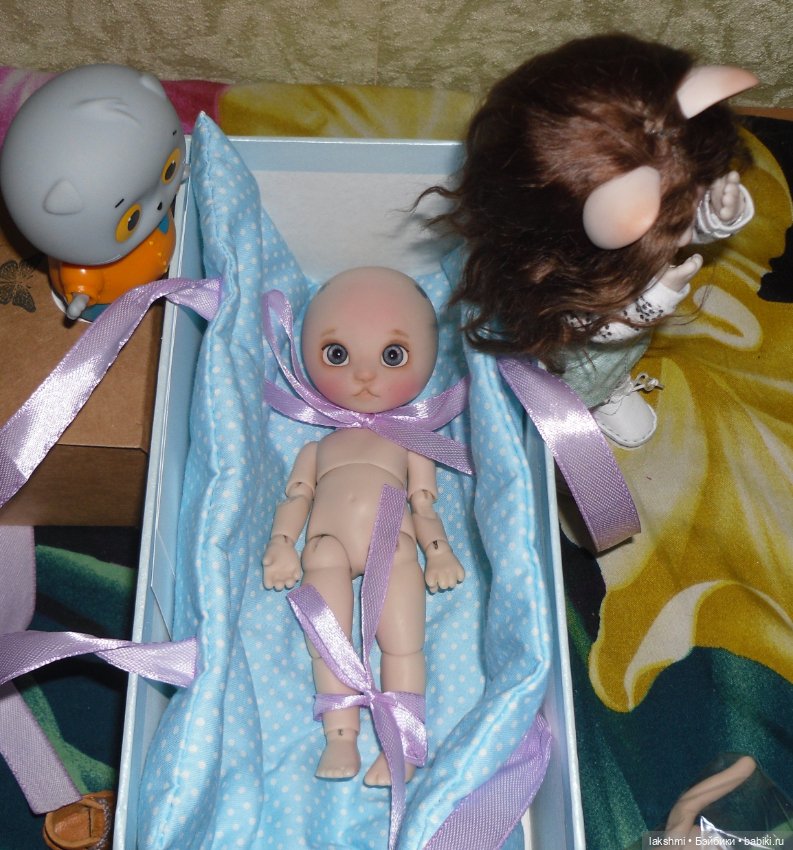 Каждый день - день КОТА (*_*) (фото 6)