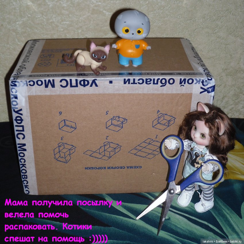 Каждый день - день КОТА (*_*)