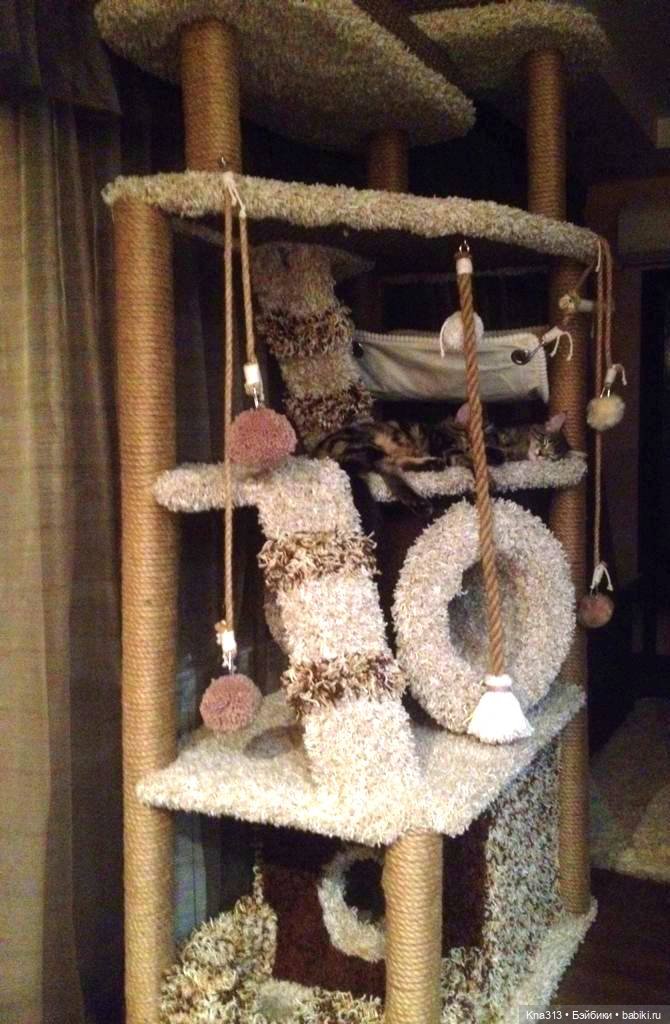 Чуть не пропустили праздник моих любимых котиков