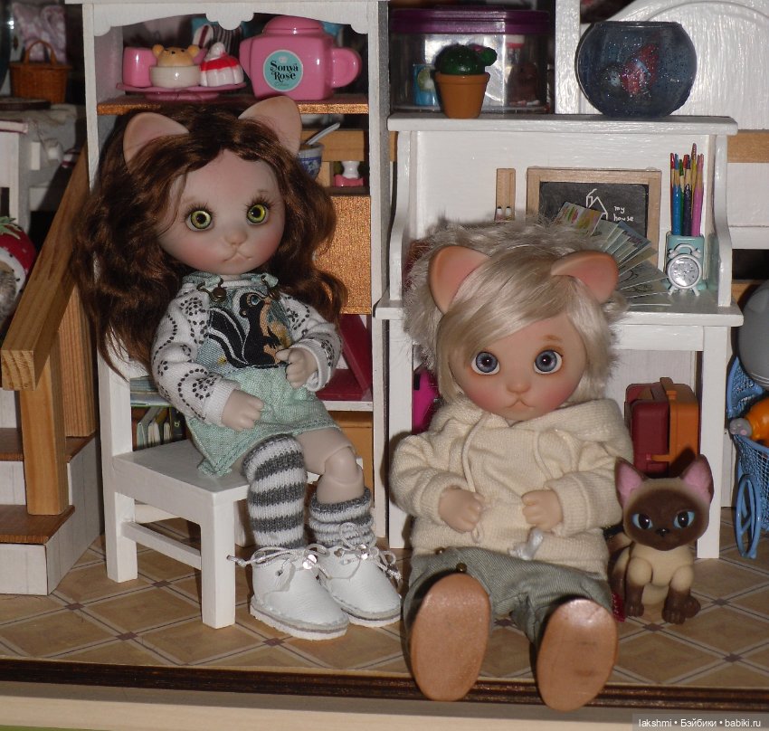 Каждый день - день КОТА (*_*)