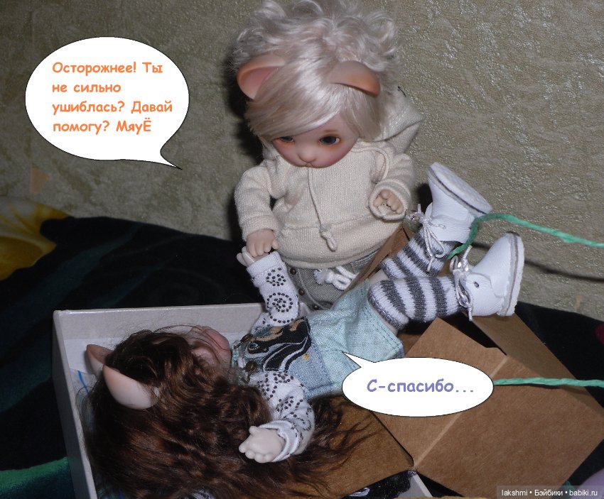 Каждый день - день КОТА (*_*)