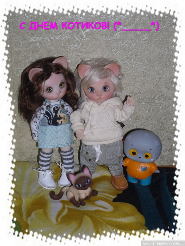 Каждый день - день КОТА (*_*)