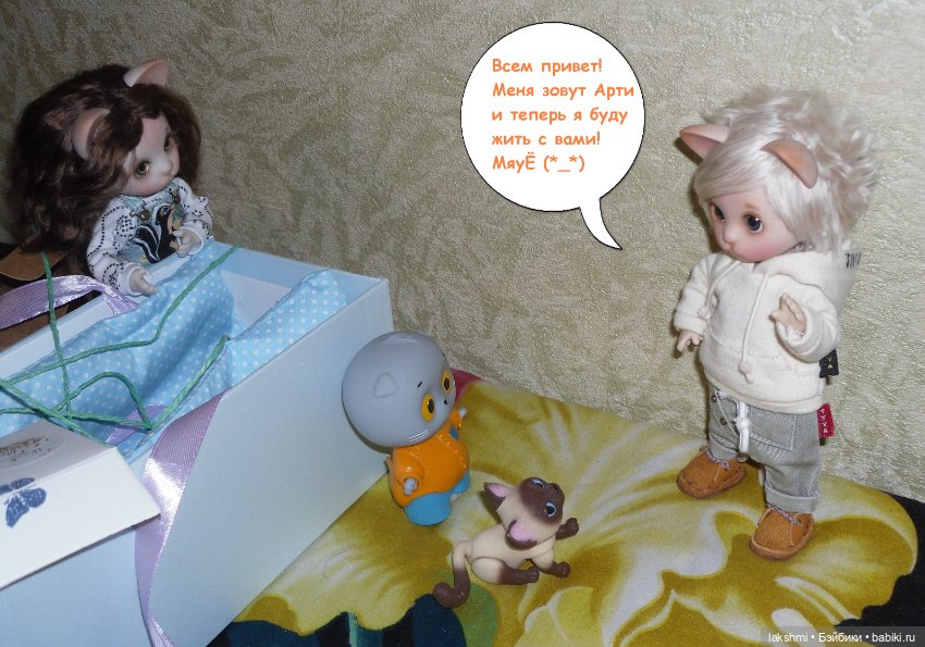 Каждый день - день КОТА (*_*) (фото 9)