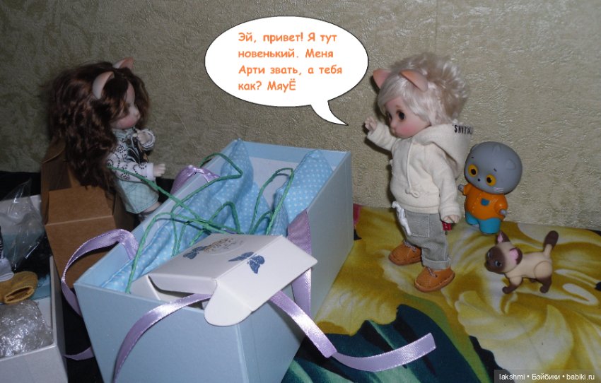 Каждый день - день КОТА (*_*)