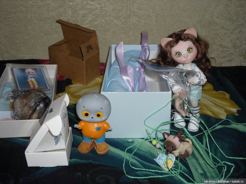 Каждый день - день КОТА (*_*) (фото 4)