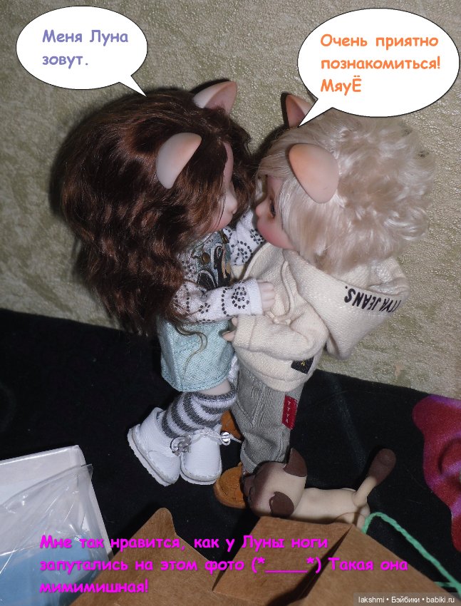 Каждый день - день КОТА (*_*)