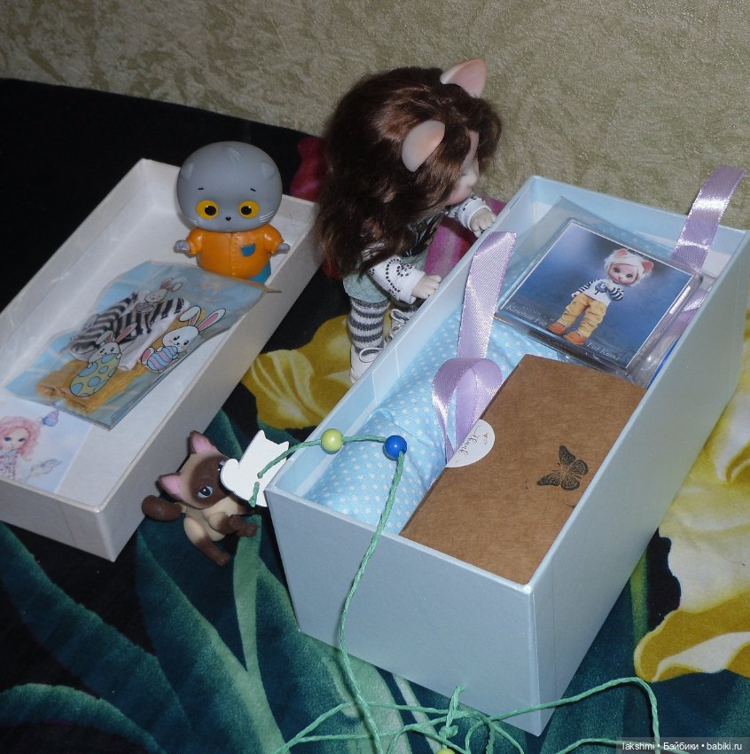 Каждый день - день КОТА (*_*) (фото 3)