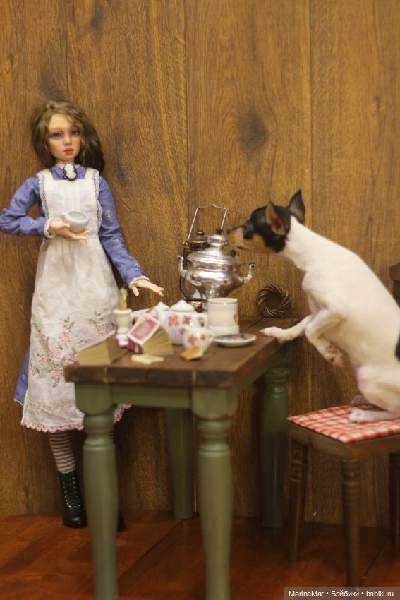 Интересный гость или Мариса у меня уже год (фото 5)