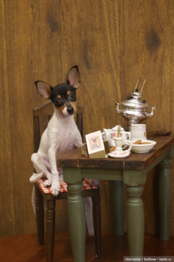 Интересный гость или Мариса у меня уже год