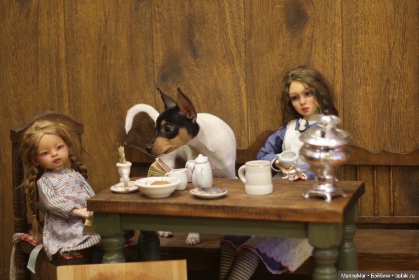 Интересный гость или Мариса у меня уже год (фото 10)