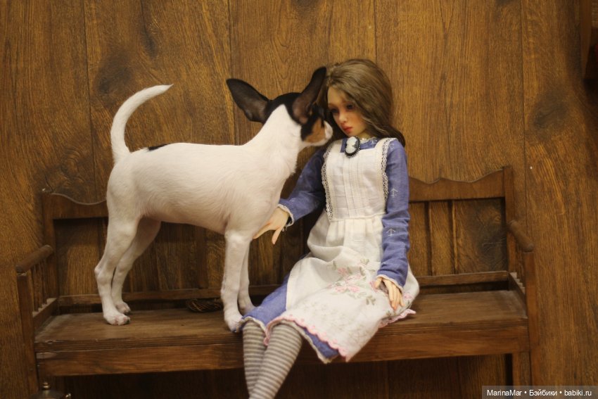 Интересный гость или Мариса у меня уже год (фото 2)