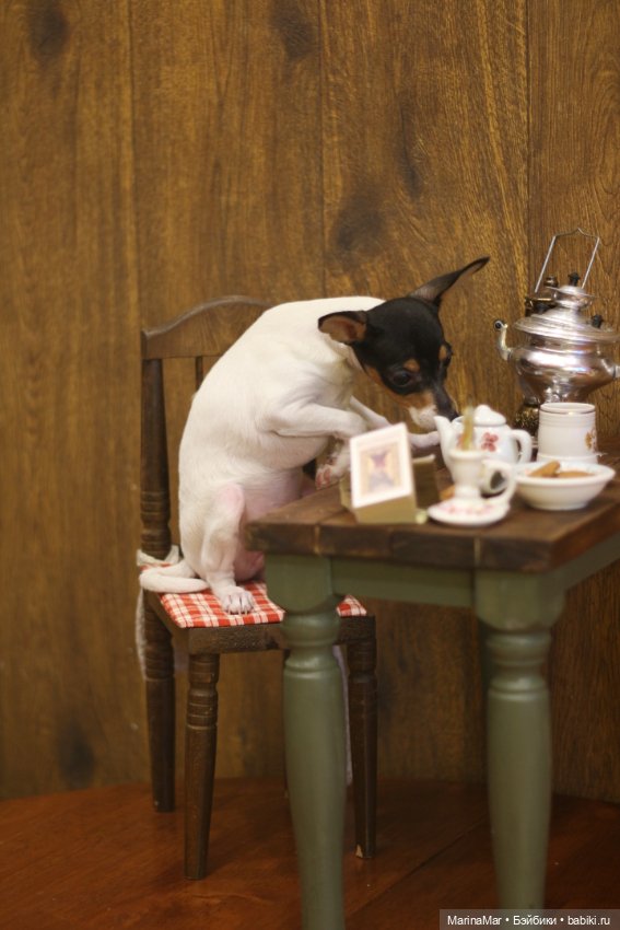 Интересный гость или Мариса у меня уже год