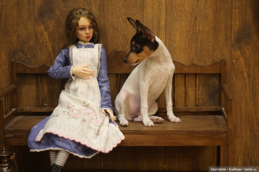 Интересный гость или Мариса у меня уже год (фото 4)