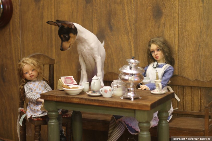 Интересный гость или Мариса у меня уже год (фото 7)