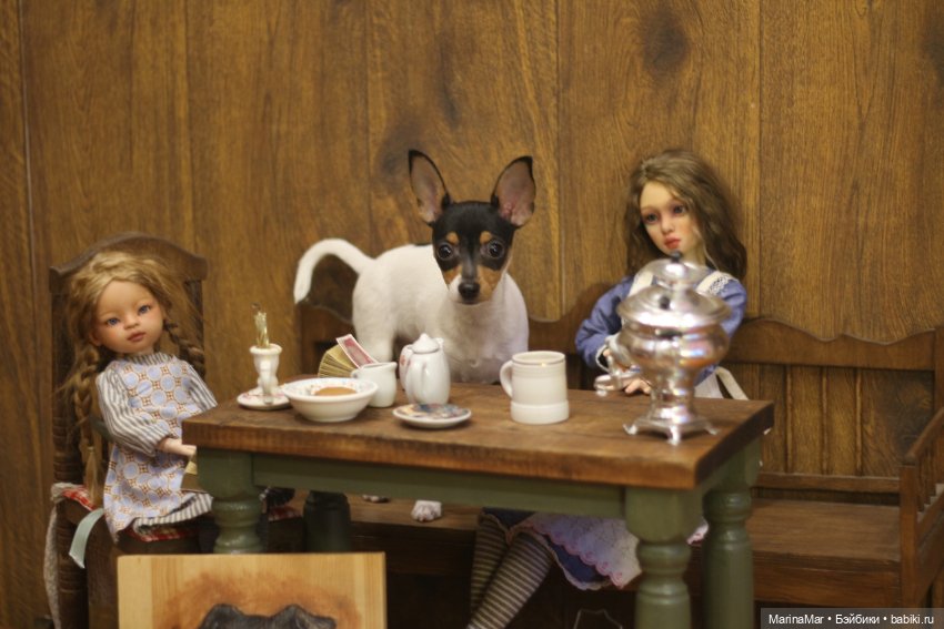 Интересный гость или Мариса у меня уже год (фото 8)