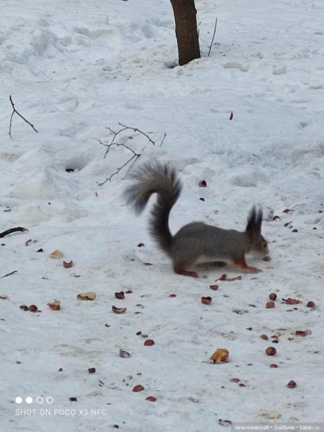 Марьяша и ее друг Филька — Куклы Baboliy (Баболи