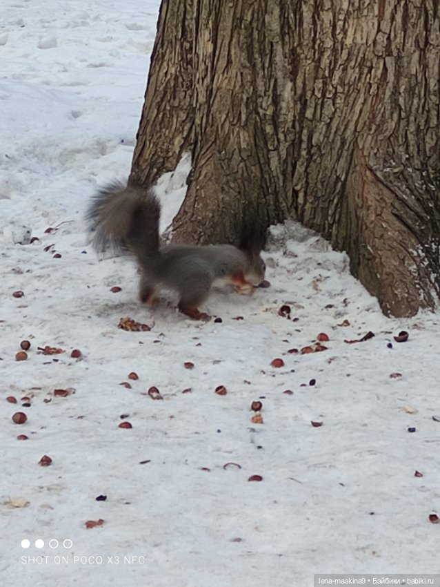 Марьяша и ее друг Филька — Куклы Baboliy (Баболи