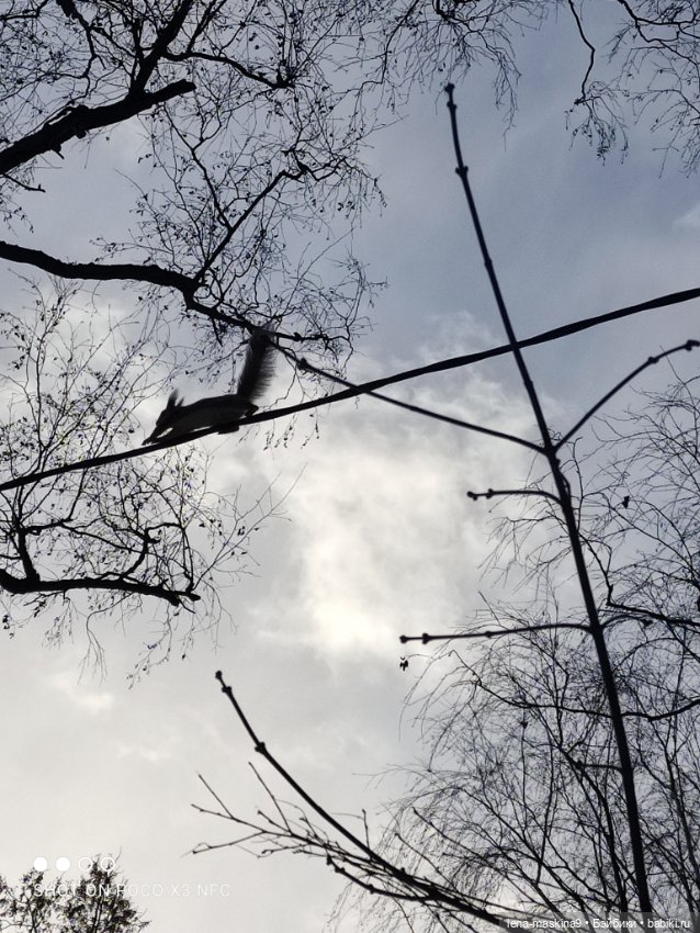 Марьяша и ее друг Филька — Куклы Baboliy (Баболи