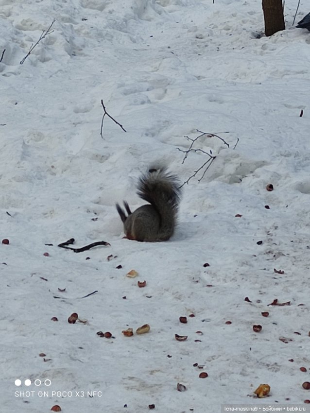 Марьяша и ее друг Филька — Куклы Baboliy (Баболи