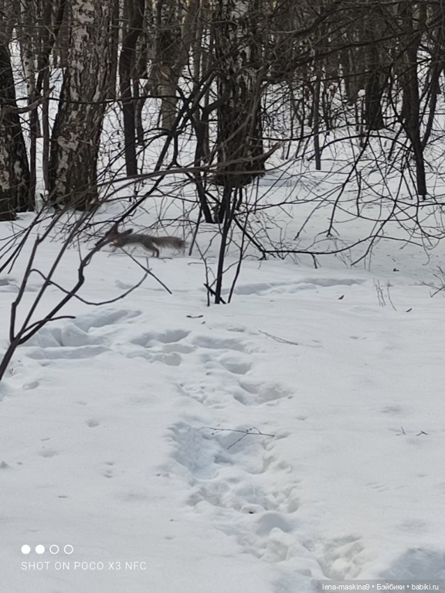 Марьяша и ее друг Филька — Куклы Baboliy (Баболи