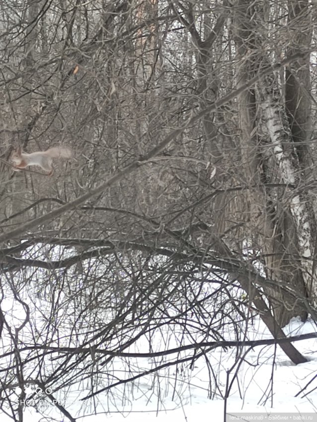 Марьяша и ее друг Филька — Куклы Baboliy (Баболи