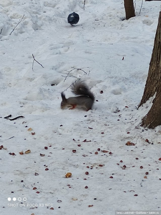 Марьяша и ее друг Филька — Куклы Baboliy (Баболи