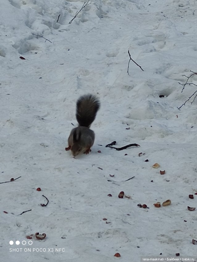 Марьяша и ее друг Филька — Куклы Baboliy (Баболи