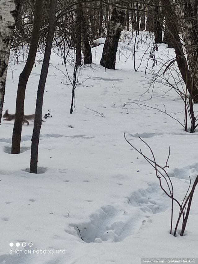 Марьяша и ее друг Филька — Куклы Baboliy (Баболи