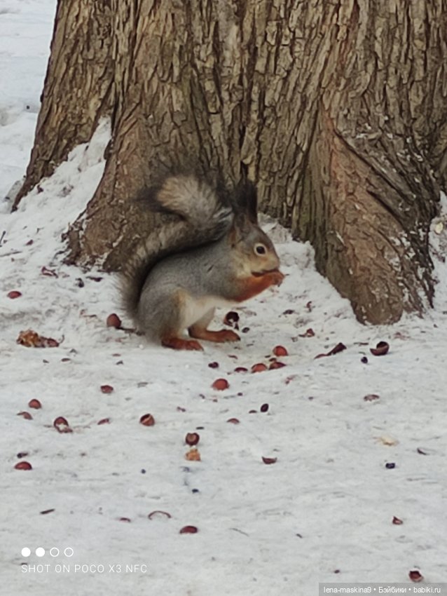 Марьяша и ее друг Филька — Куклы Baboliy (Баболи