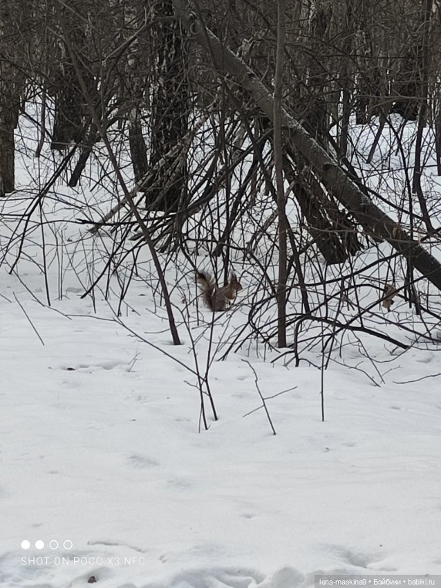 Марьяша и ее друг Филька — Куклы Baboliy (Баболи