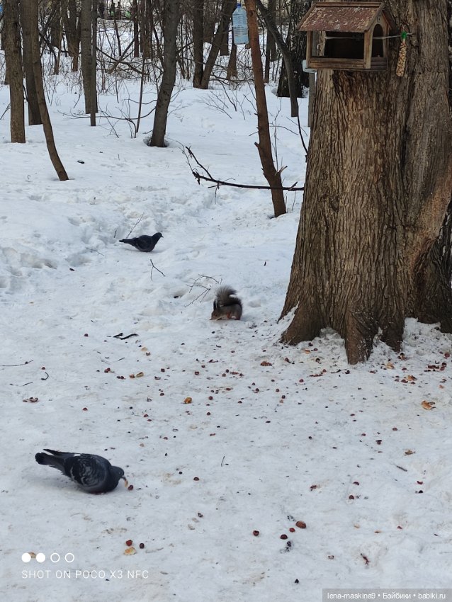 Марьяша и ее друг Филька — Куклы Baboliy (Баболи