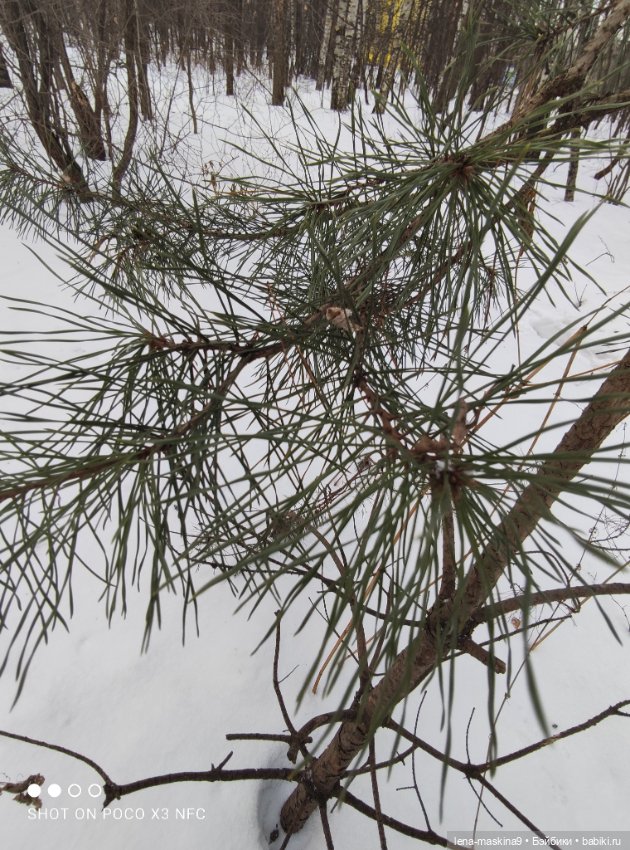 Марьяша и ее друг Филька — Куклы Baboliy (Баболи
