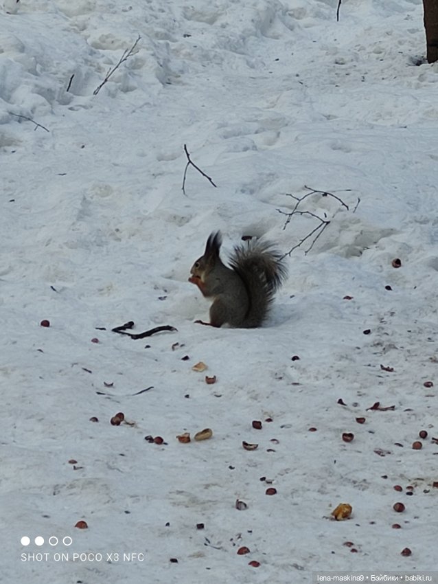 Марьяша и ее друг Филька — Куклы Baboliy (Баболи
