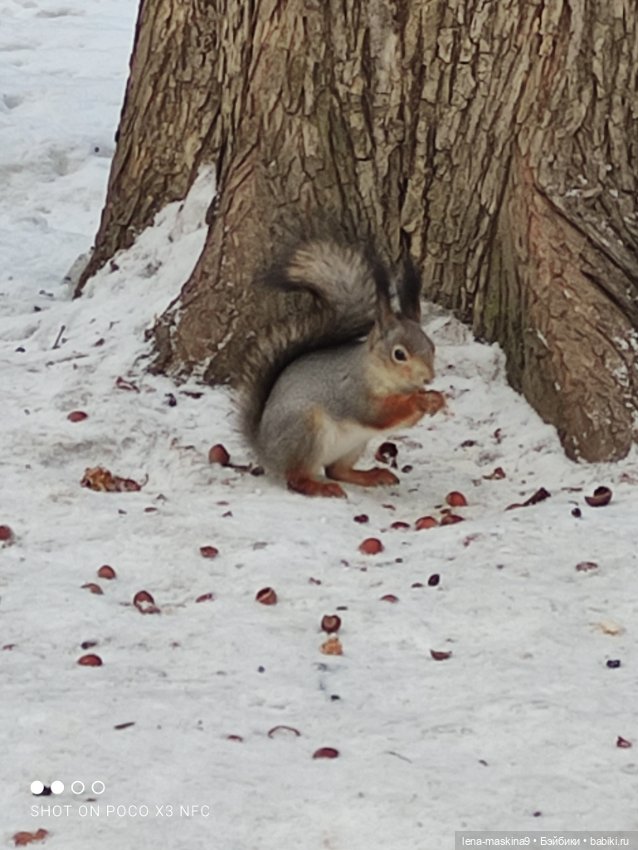 Марьяша и ее друг Филька — Куклы Baboliy (Баболи