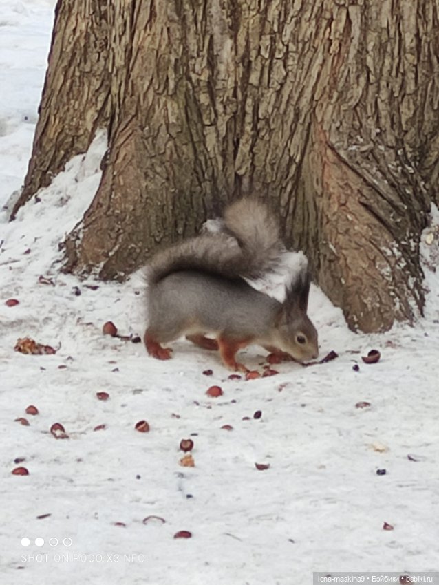 Марьяша и ее друг Филька — Куклы Baboliy (Баболи