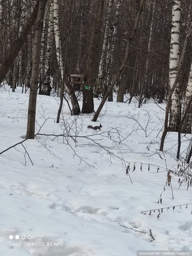 Марьяша и ее друг Филька — Куклы Baboliy (Баболи