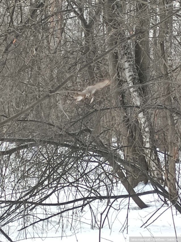 Марьяша и ее друг Филька — Куклы Baboliy (Баболи