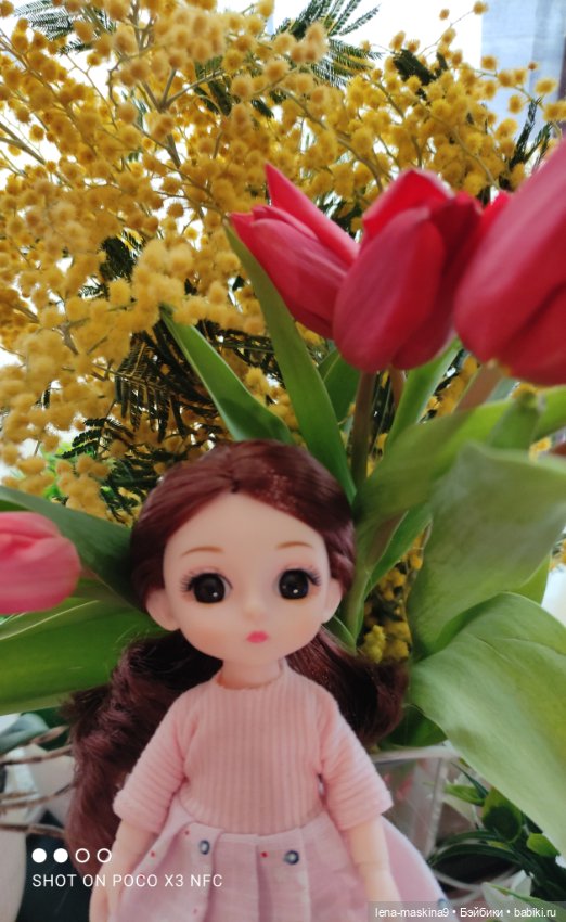 Цветник- из Баболишечек — Куклы Baboliy (Баболи