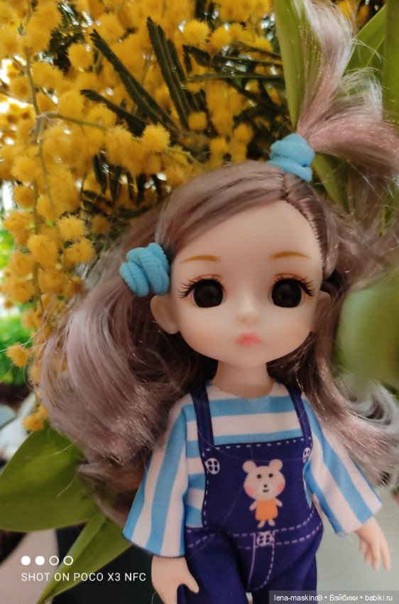 Цветник- из Баболишечек — Куклы Baboliy (Баболи