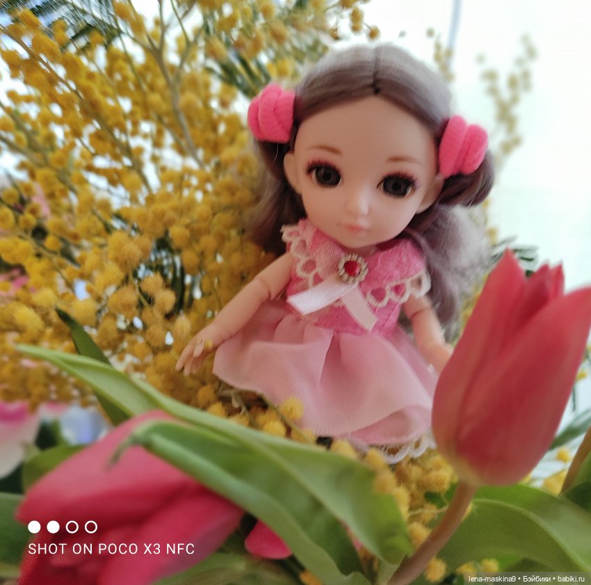 Цветник- из Баболишечек — Куклы Baboliy (Баболи