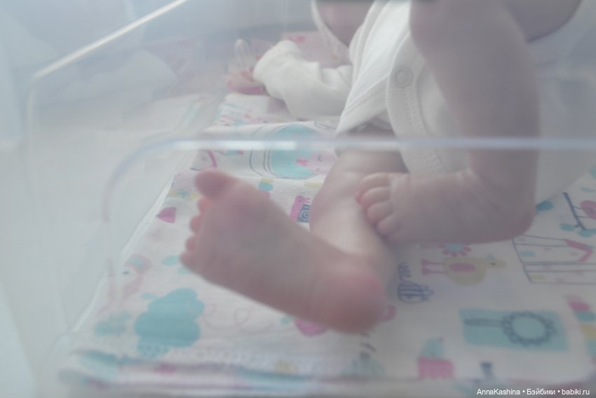 Агнеша - мой любимый мышонок