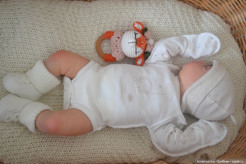 Мой долгожданный бурундучок! Доминика