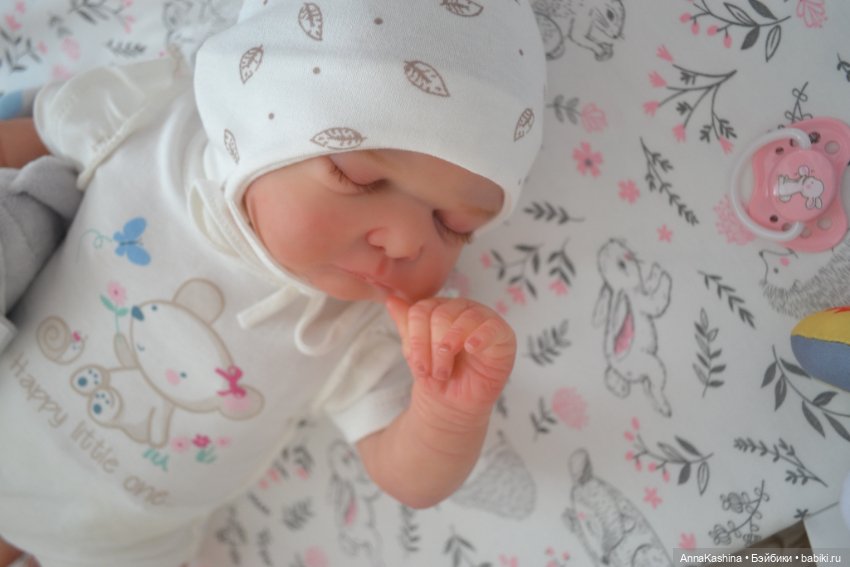 Мой долгожданный бурундучок! Доминика