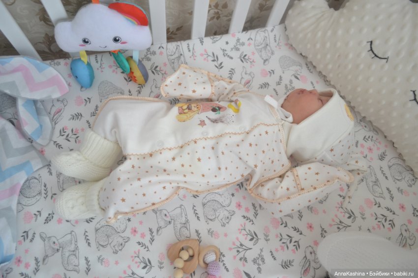 Мой долгожданный бурундучок! Доминика (фото 9)