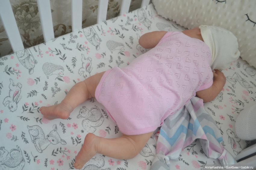 Мой долгожданный бурундучок! Доминика (фото 5)