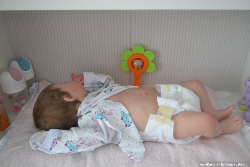 Мой долгожданный бурундучок! Доминика (фото 8)