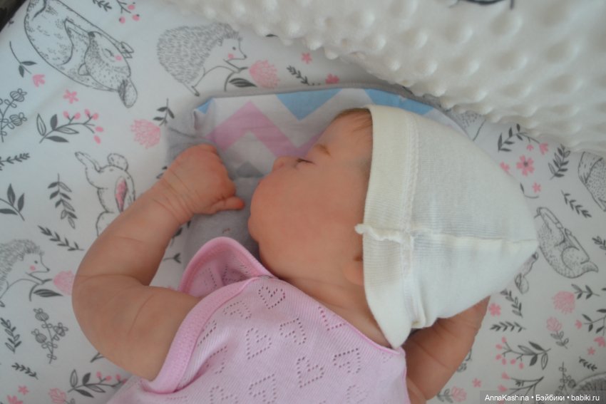 Мой долгожданный бурундучок! Доминика (фото 7)