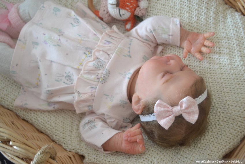 Мой долгожданный бурундучок! Доминика