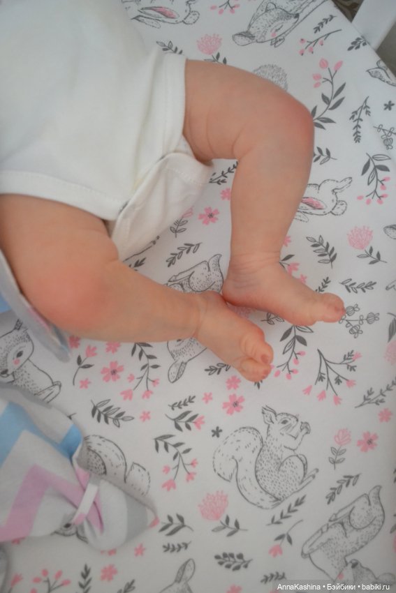 Мой долгожданный бурундучок! Доминика