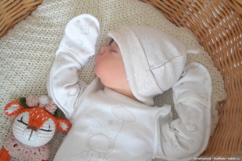 Мой долгожданный бурундучок! Доминика (фото 2)